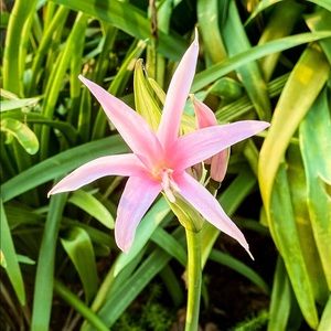 Meet your Posher, Vance